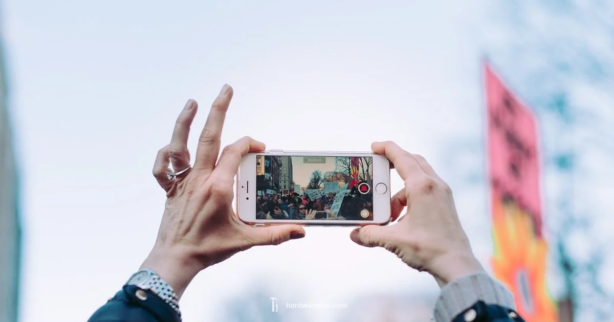 iPhone Hardware Service iPhone Hardware Service - The Hardware