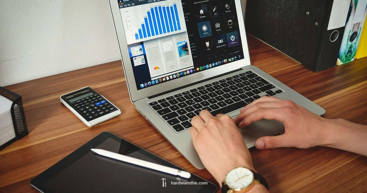 Hardware vs Software Hardware vs Software - The Hardware