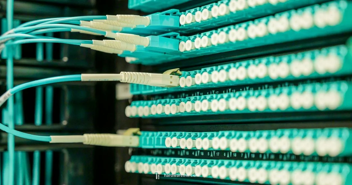 Firewall Hardware Guide Firewall Hardware Guide - The Hardware