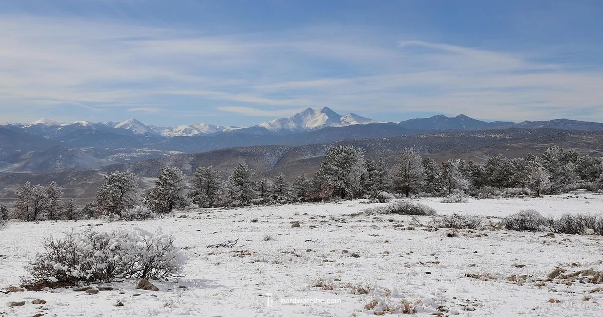 Fort Collins ACE - The Hardware