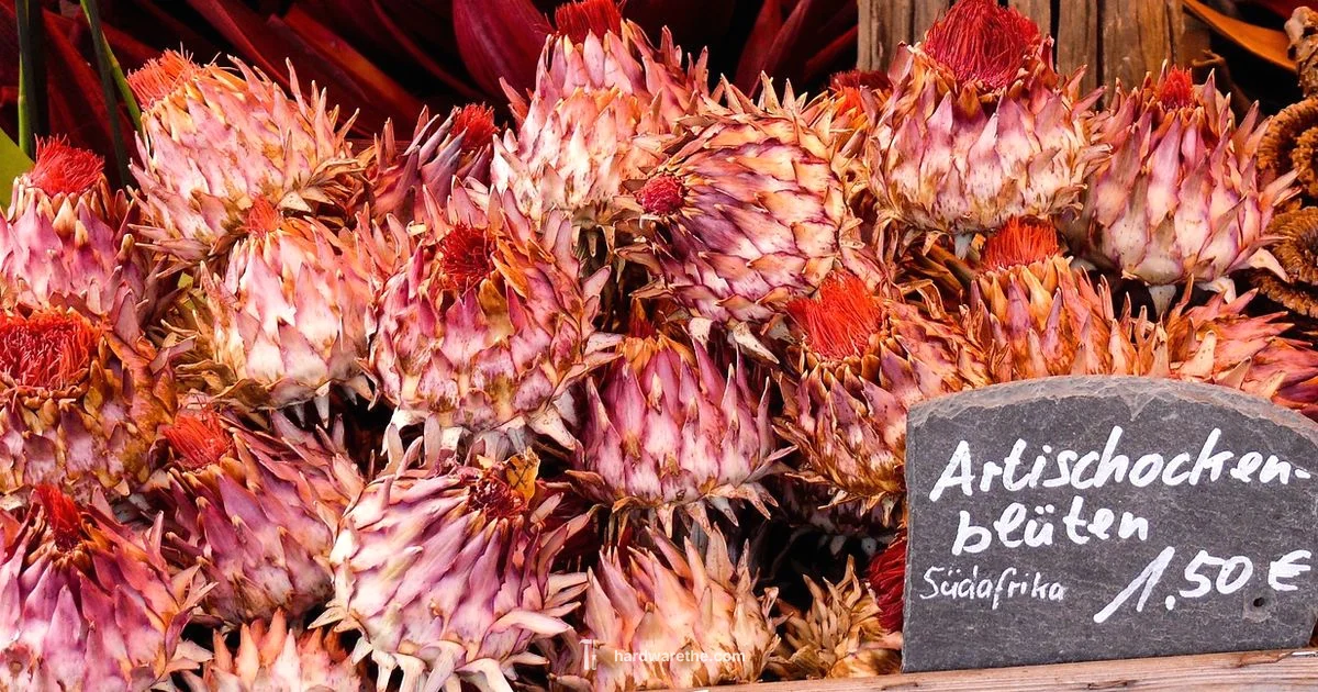 Cheapest Hardware Guide - The Hardware