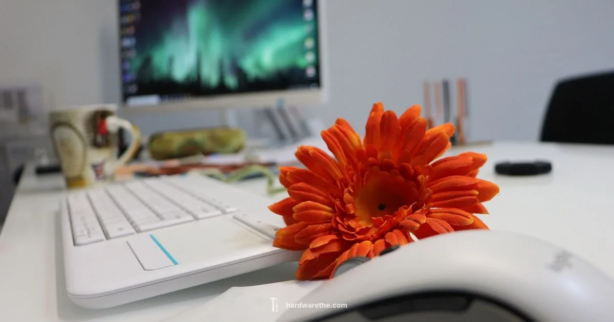 Network Hardware Essentials - The Hardware