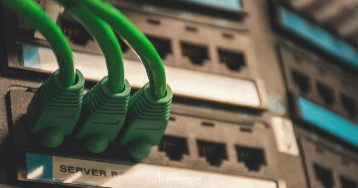 GPU-Transcoding Setup - The Hardware