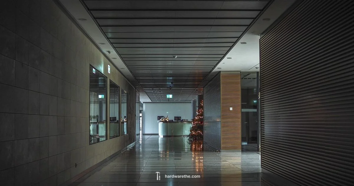 Hydraulic Door Closers - The Hardware