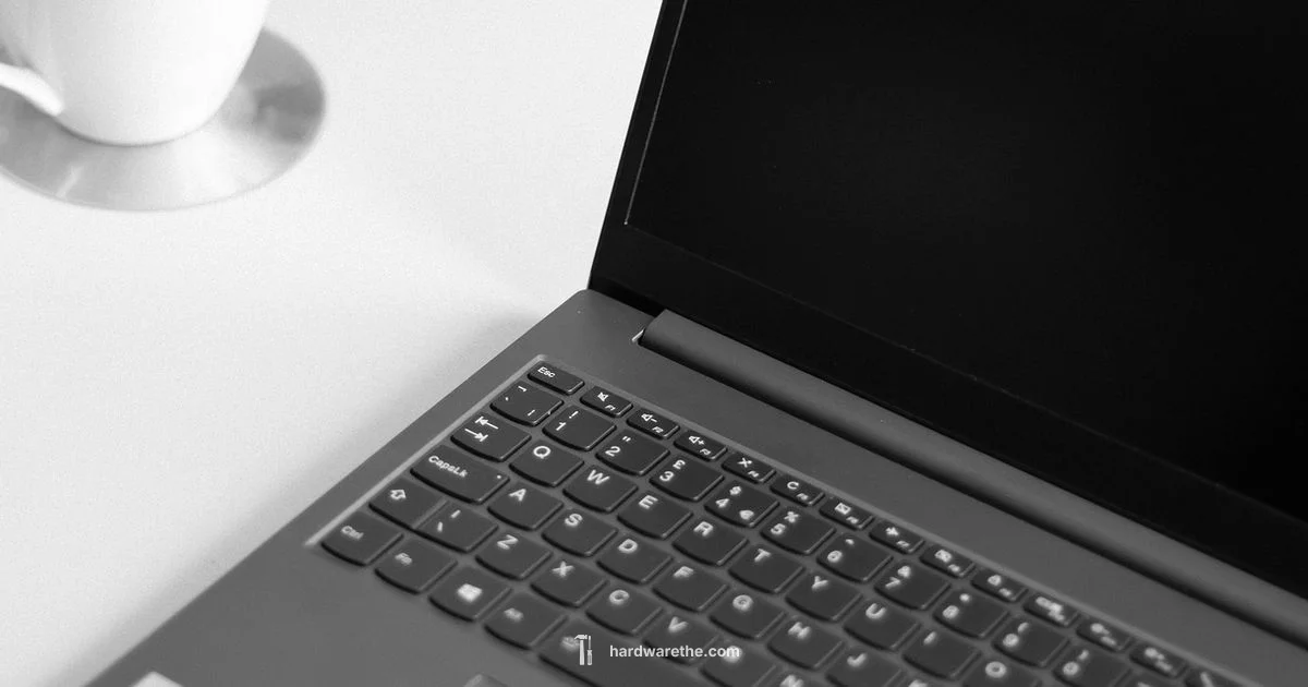 AI Hardware Guide AI Hardware Guide - The Hardware