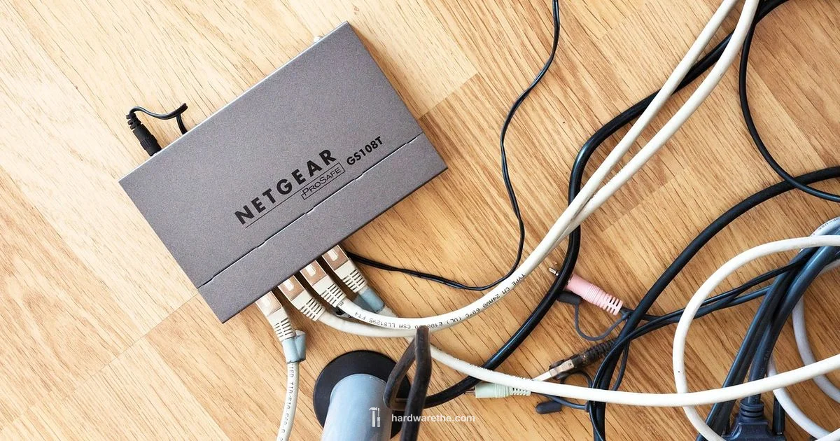 Wired Connection Essentials - The Hardware