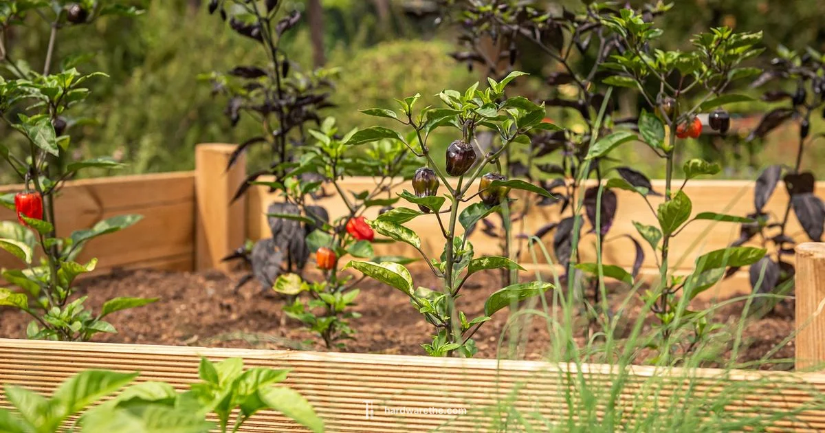 Buried Hardware Cloth - The Hardware