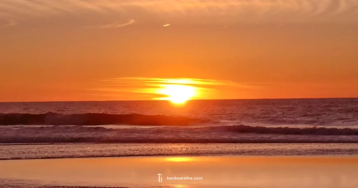 Local Hardware Hub Local Hardware Hub - The Hardware