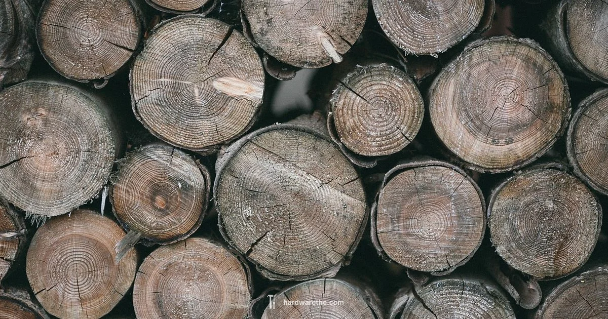 Ace Lumber Availability - The Hardware