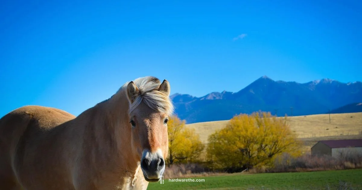 Hamilton Hardware Hub Hamilton Hardware Hub - The Hardware