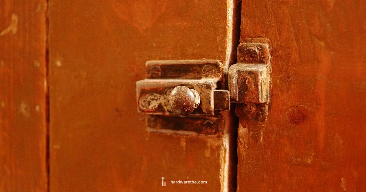 Latch for Screen Door - The Hardware