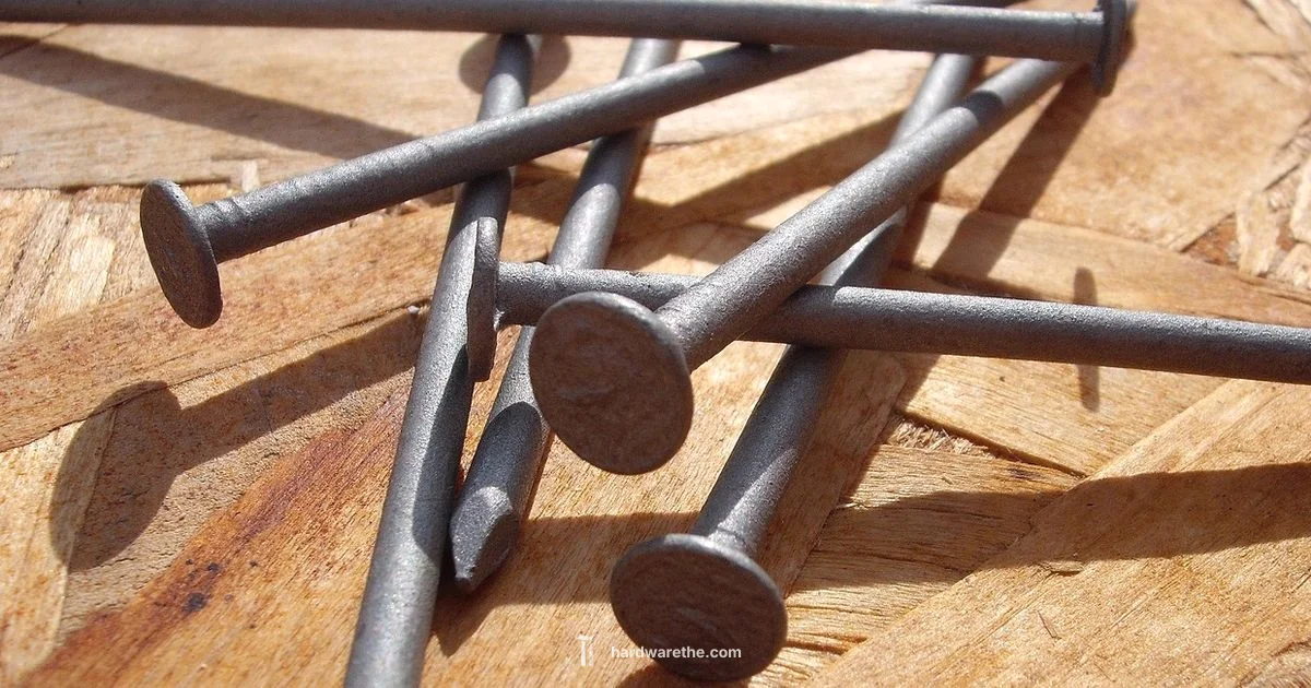 Tool Rental - The Hardware