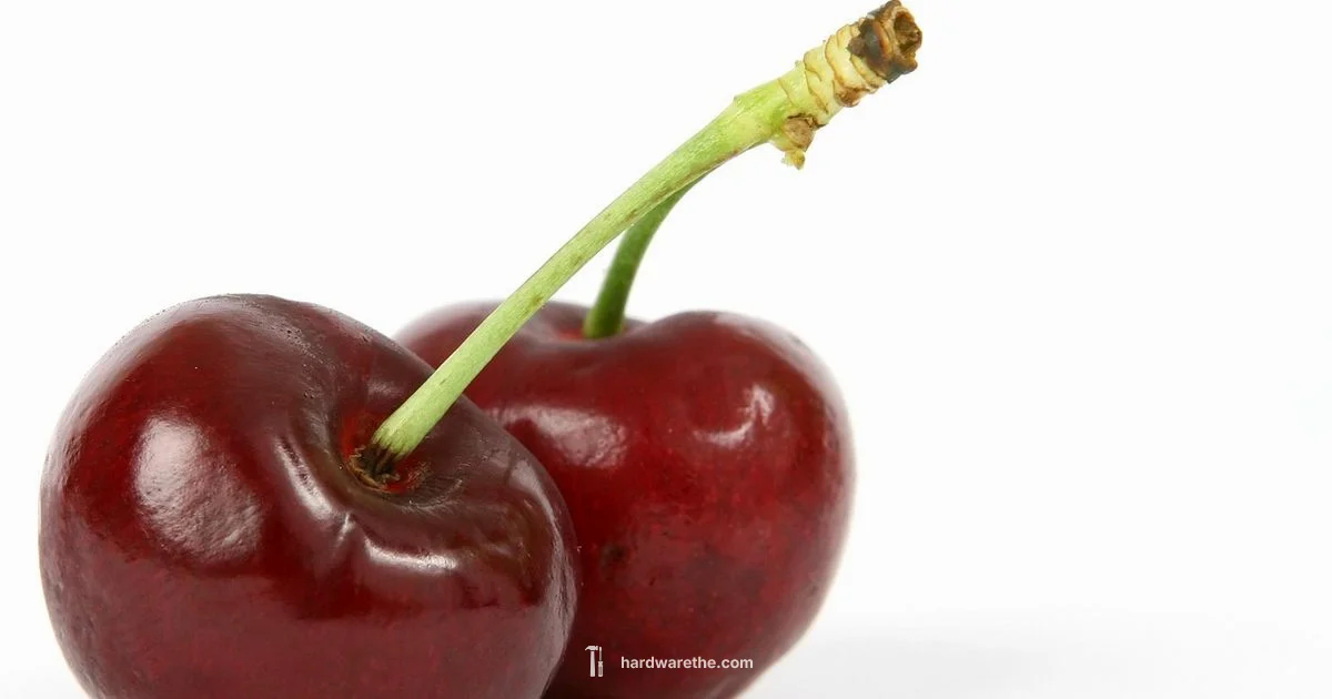 Cherry Cabinets Hardware - The Hardware