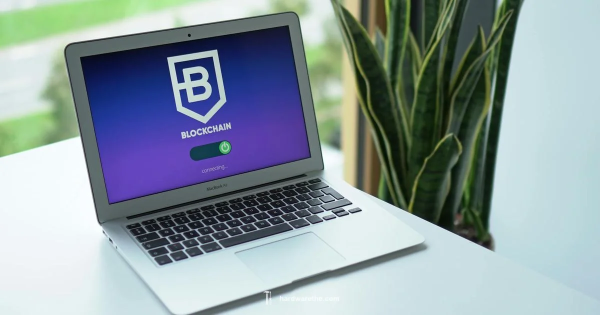 Wallet Recovery Guide - The Hardware